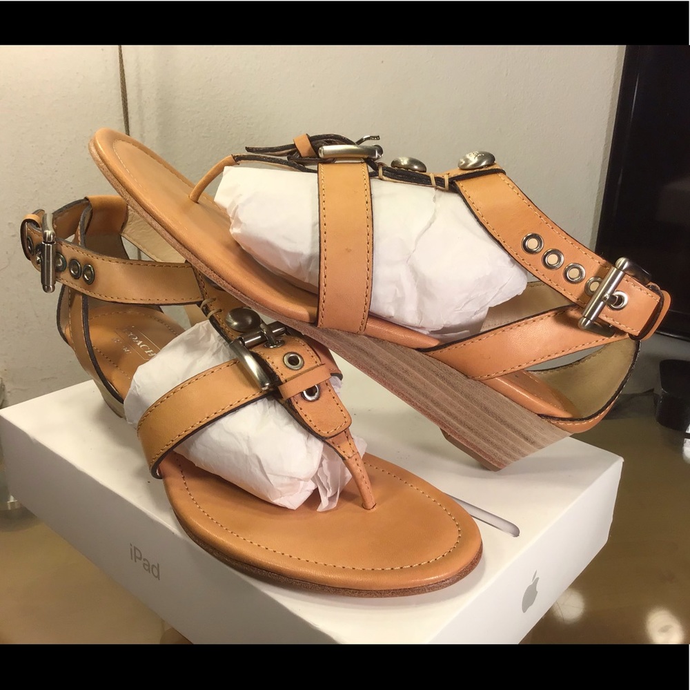 COACH Viktoria Leather T-Strap Thong Wedge Sandals